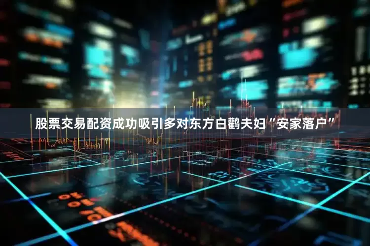 股票交易配资成功吸引多对东方白鹳夫妇“安家落户”