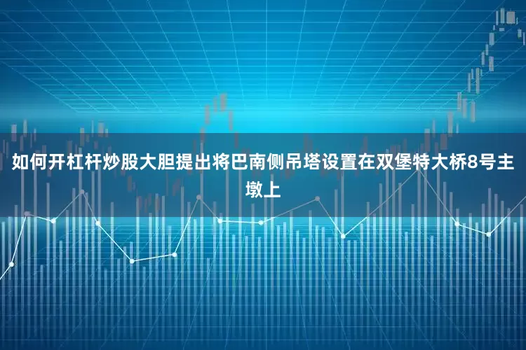如何开杠杆炒股大胆提出将巴南侧吊塔设置在双堡特大桥8号主墩上