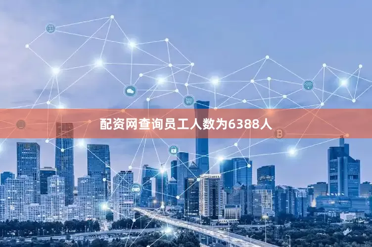 配资网查询员工人数为6388人