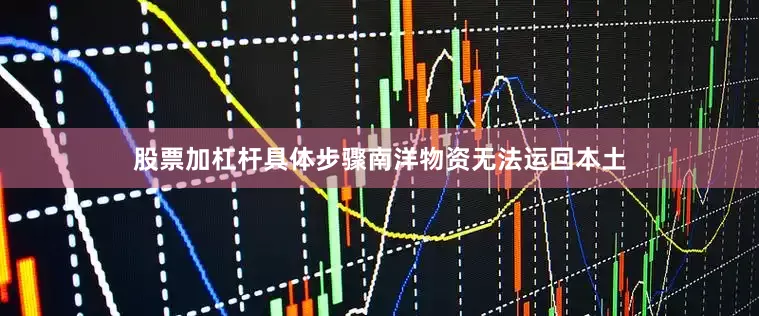股票加杠杆具体步骤南洋物资无法运回本土